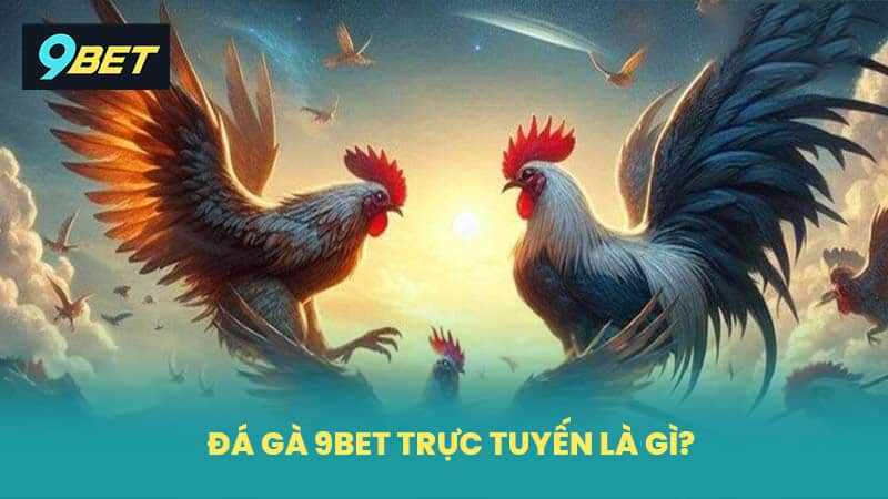 Đá gà 9BET trực tuyến là gì?